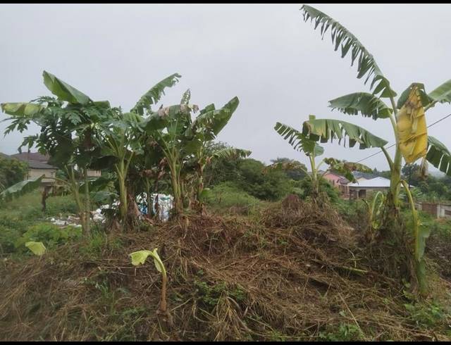 LAND FOR SALE IN THOHOYANDOU M